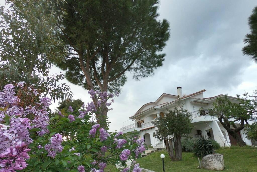 Triple H Villa Volos Eksteriør billede